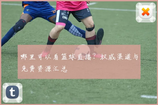 哪里可以看篮球直播？权威渠道与免费资源汇总
