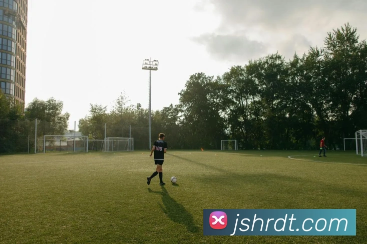 数据分析功能